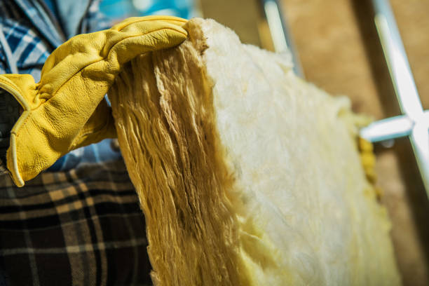 Best Cellulose Insulation in Arlington, OH